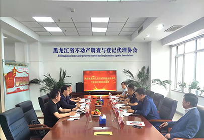 河北省自然资源评价评估行业协会来我协会调研座谈